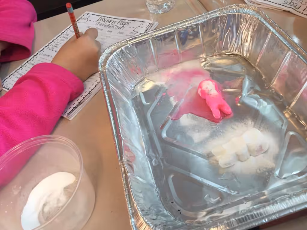 Fun science experiments for kids using peeps, jelly beans, and other spring themed items. Perfect for use before or after Easter!