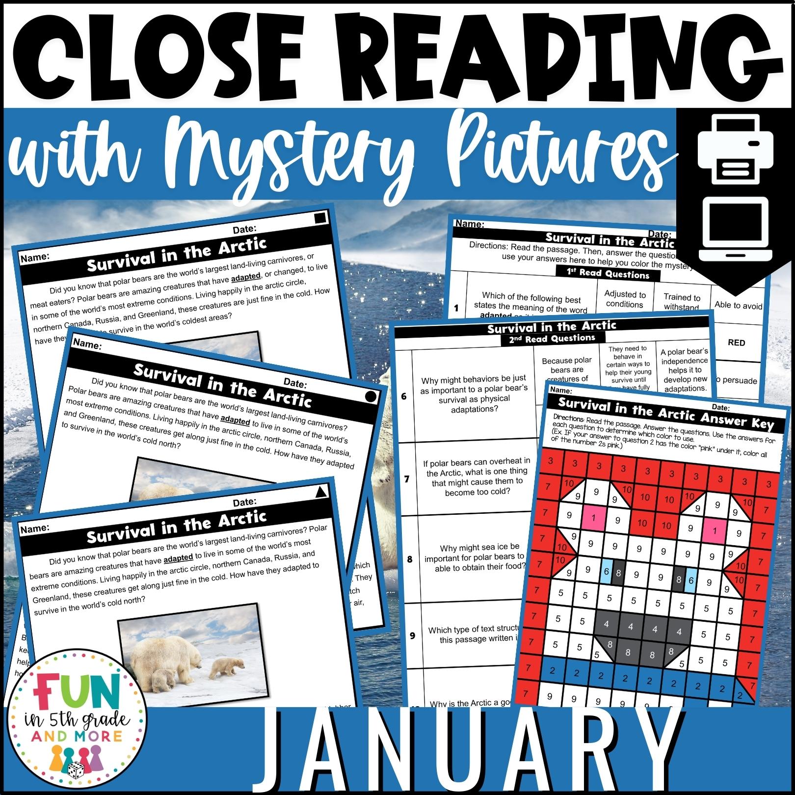 January Reading Comprehension Passages with Mystery Grid Pictured