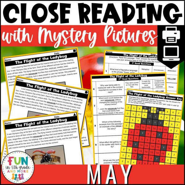 Close Reads with Mystery Pictures - Fun in 5th Grade & MORE