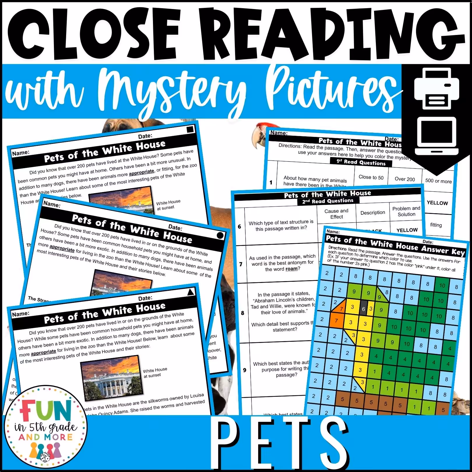 Pets Themed Reading Comprehension Passages with Mystery Grid Pictured