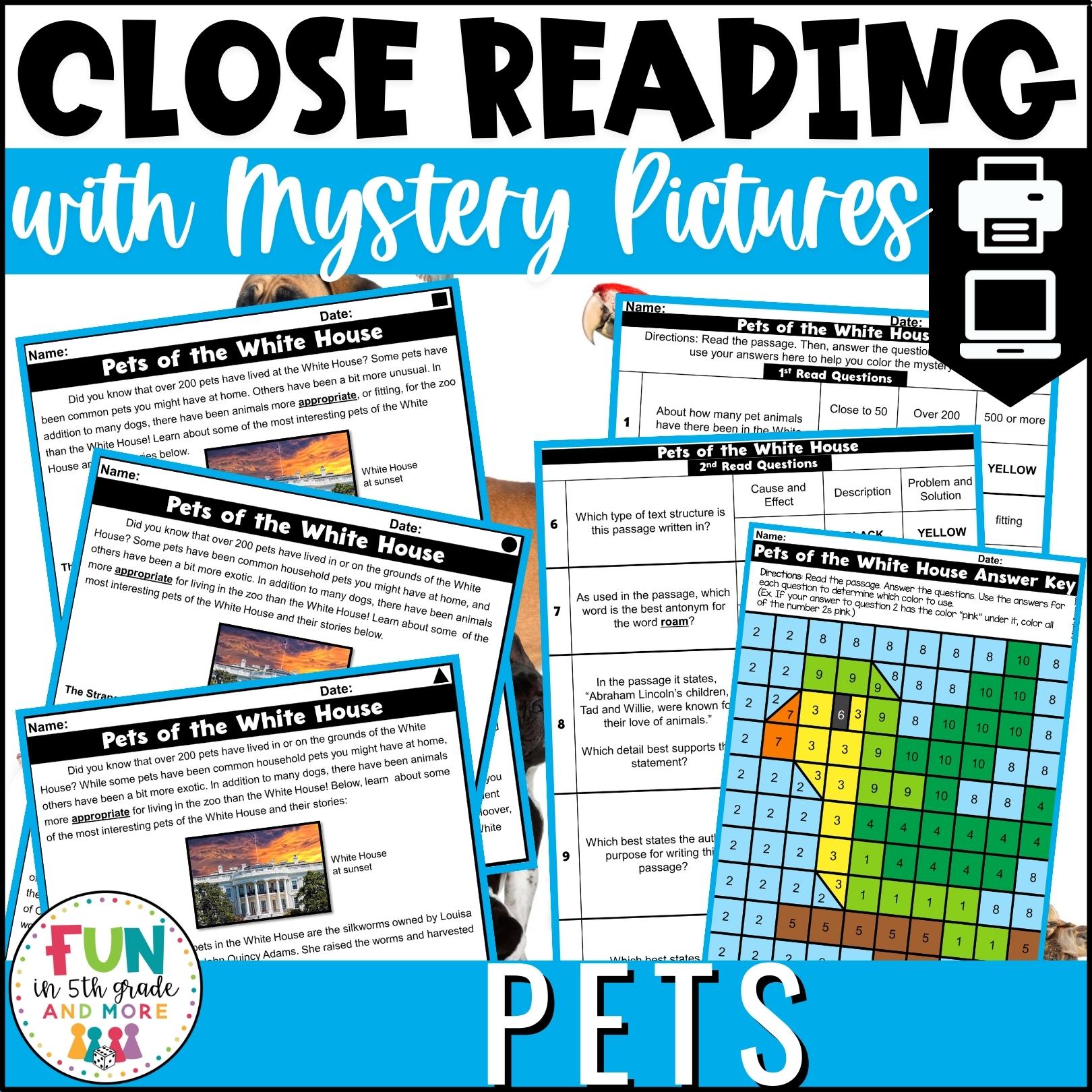Pets Themed Reading Comprehension Passages with Mystery Grid Pictured