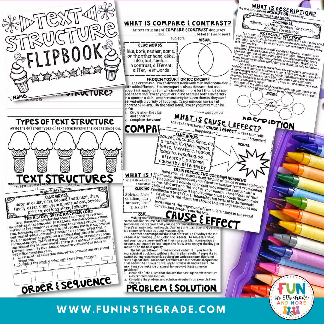 Text Structure Flipbook (4)