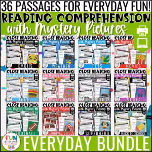Everyday Themed Reading Comprehension Passages with Mystery Pictures