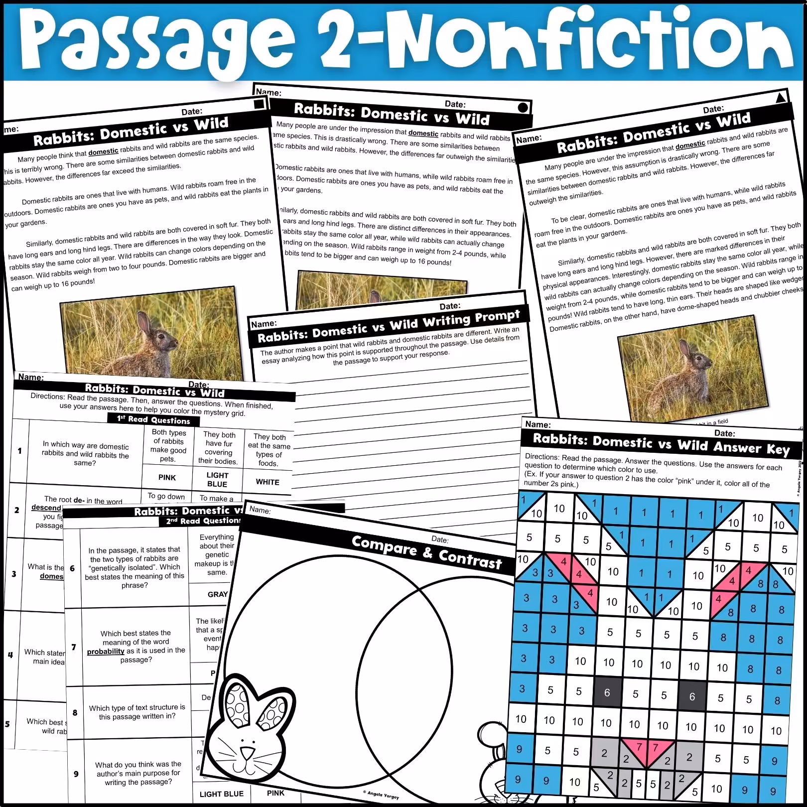 Easter Close Reading Comprehension Passages (4)