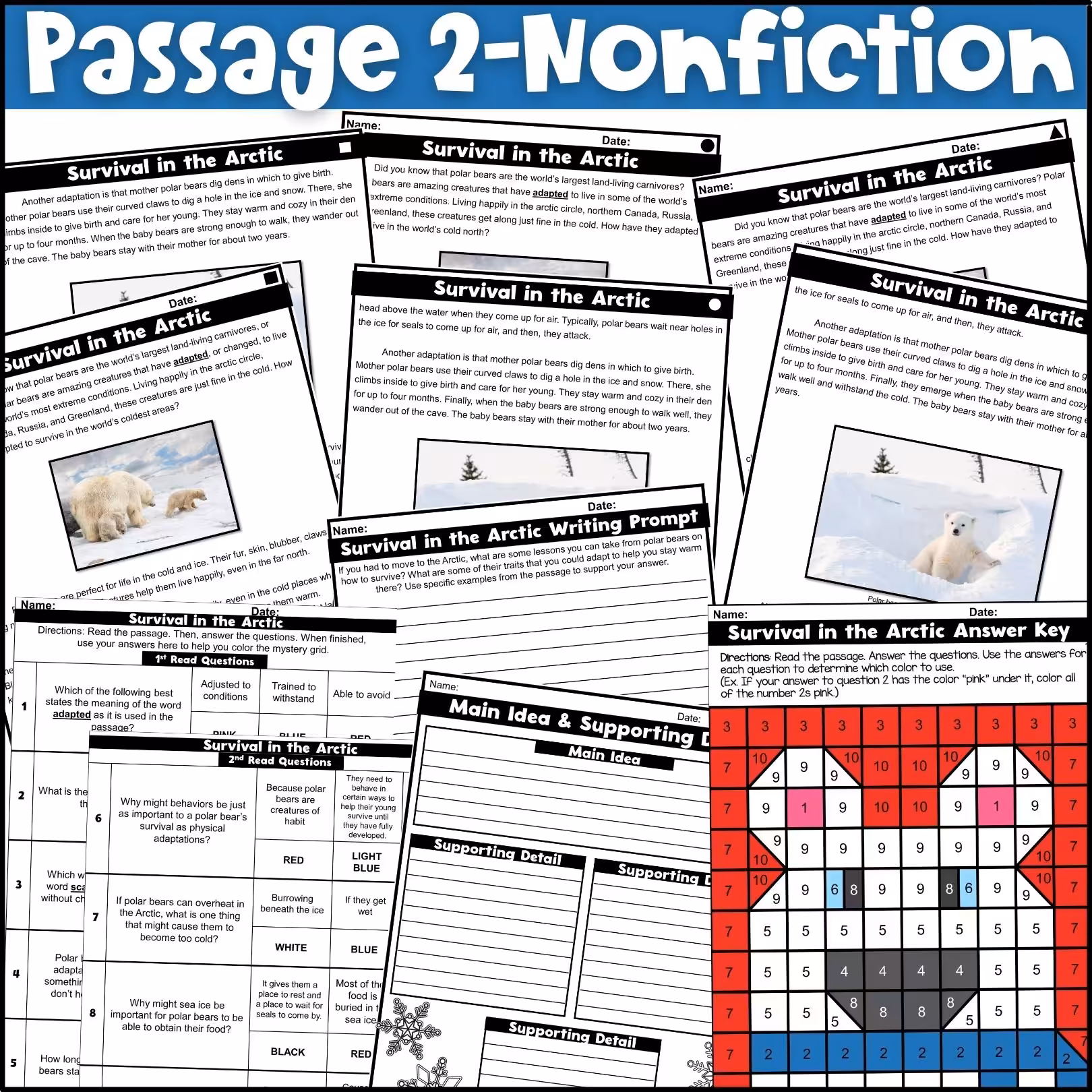 January Close Reading Comprehension Passages (4)