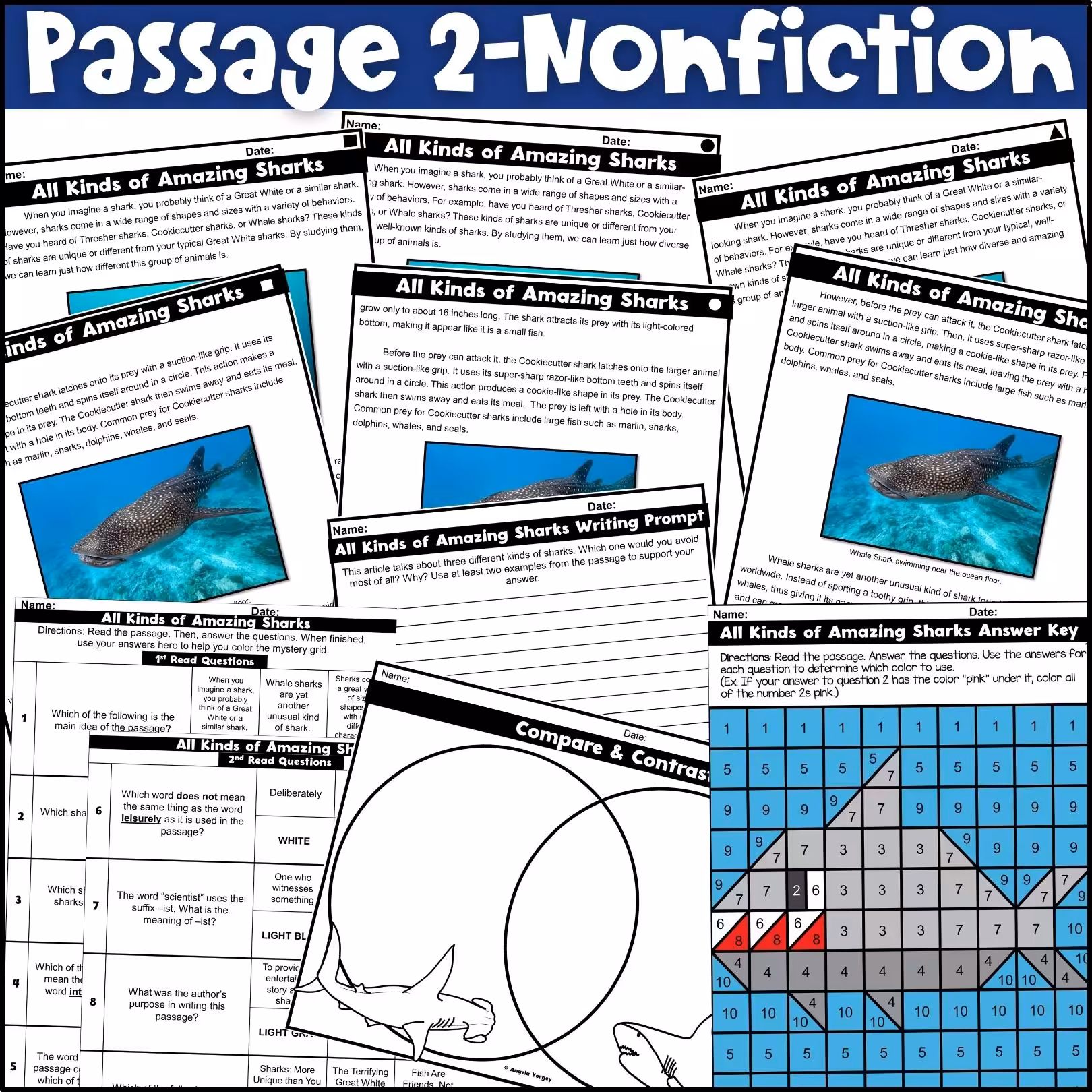 July Close Reading Comprehension Passages (4)