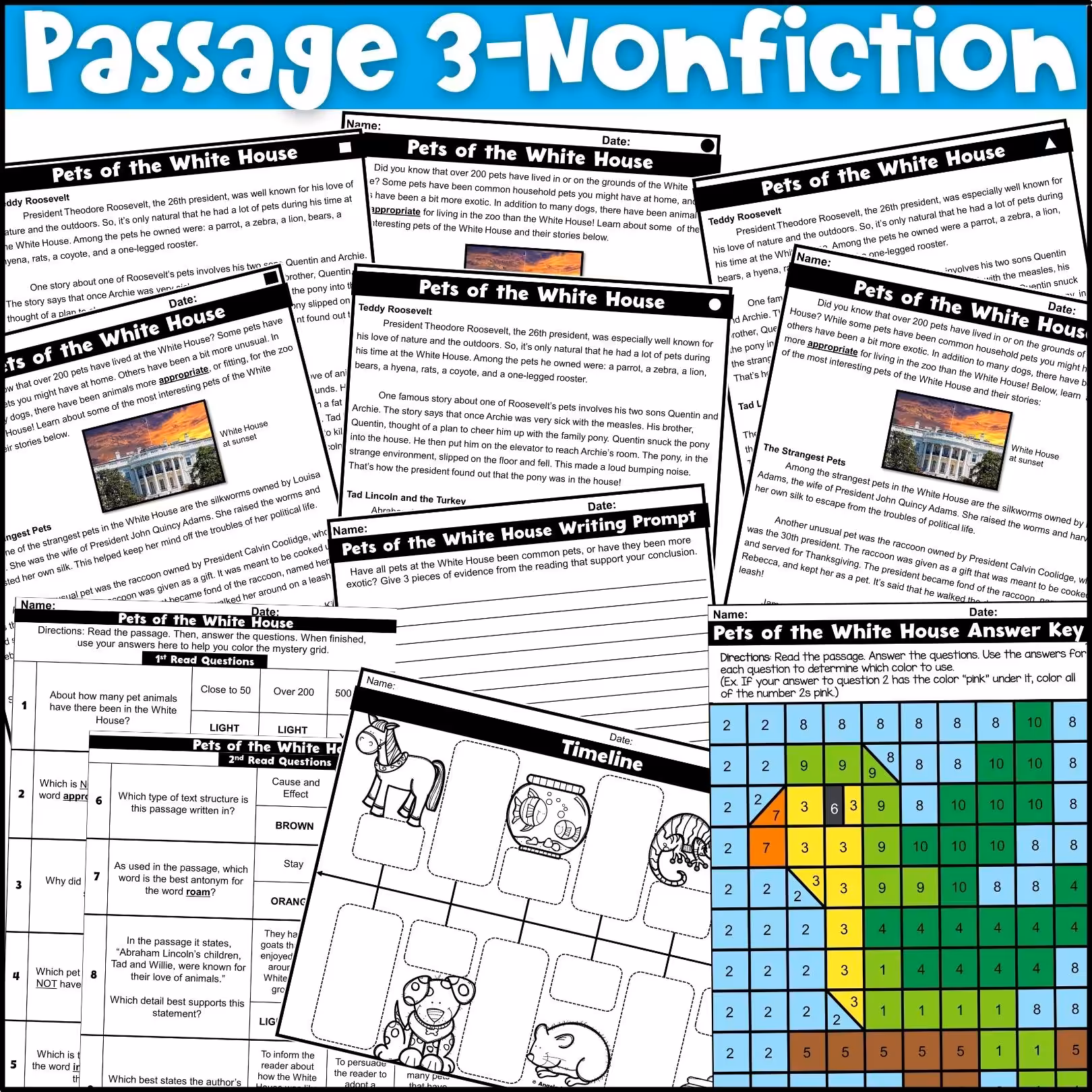Pets Close Reading Comprehension Passages (6)